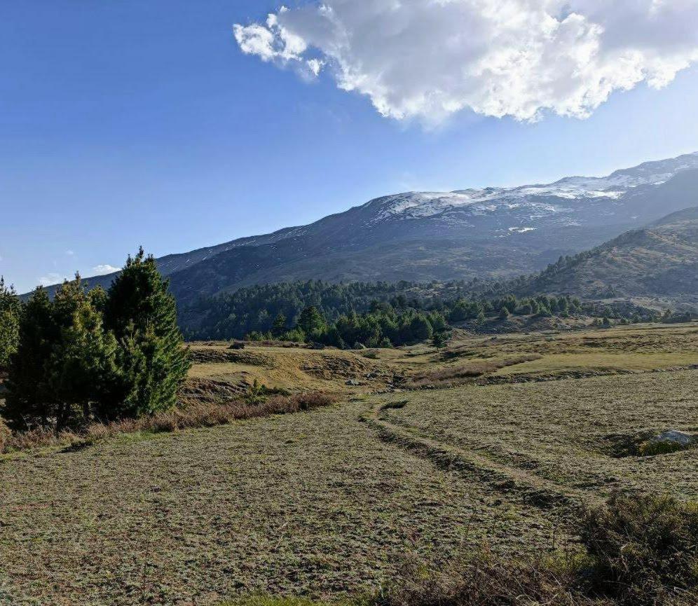 Fayul Retreat - India Highest Glamp And Ecoluxury Stay Kalpa Zewnętrze zdjęcie
